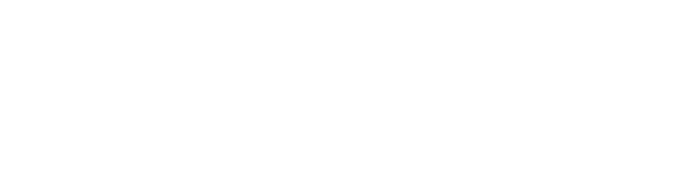 FEVIM_Logotipo_BLANC